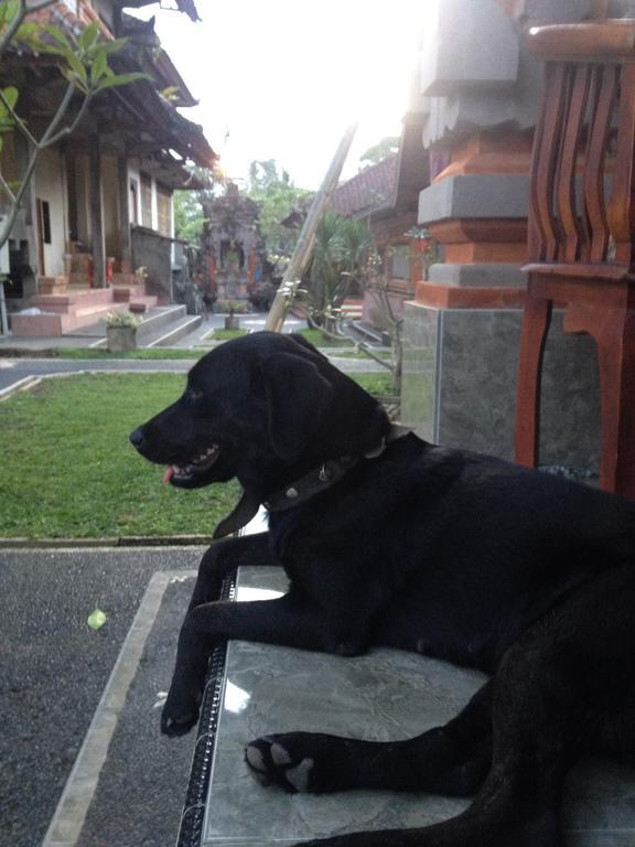 Accommodatie bij particulieren D'jero Ubud